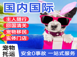 连云港花果山机场托运国际宠物托运 【国